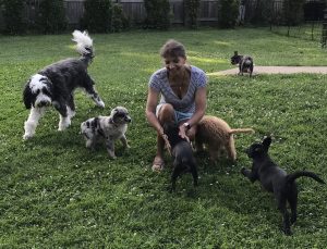 Puppy training camp Maryland