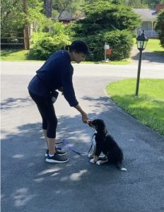 Certified Professional Dog Trainer Maryland