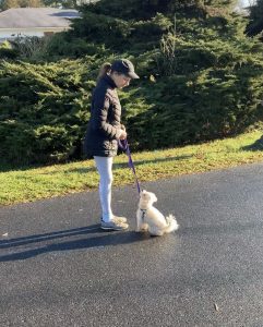 Dog obedience training Maryland