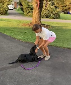 Puppy trainer Maryland