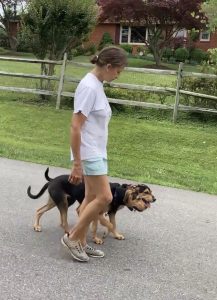 Pawz for Health Dog obedience Training Maryland