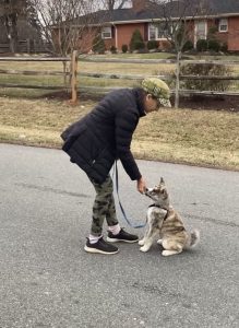 Puppy Trainer Maryland