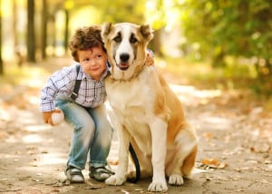 Kids and dogs safety - pawz for health dog training
