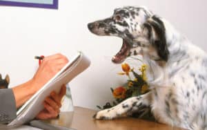 Dog behavior training Maryland