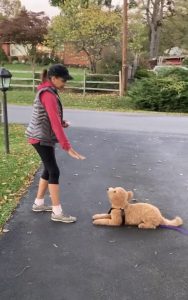 Certified Dog Trainer Maryland