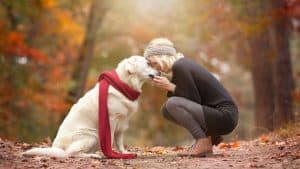 Dog emotions can affect dog behavior