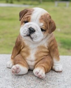 Teaching puppy to stop jumping